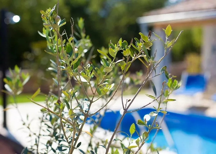 Yvonne וילה Milohnici